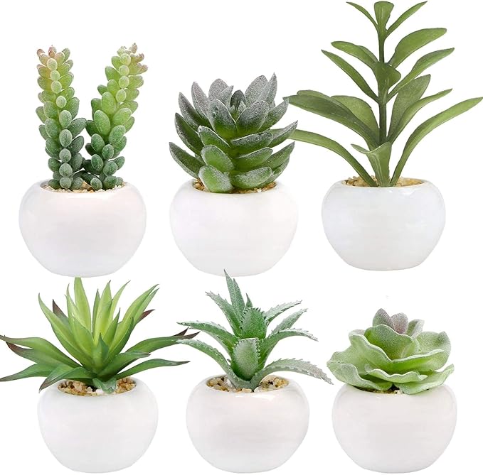 GREENTIME 6 Pcs Mini Artificial Succulents Plants in Ceramic Pots Small Fake Succulent Faux Plant Graduation Decoration Indoor Bedroom Desk Bathroom Office Living Room Table Shelf Teacher Appreciation