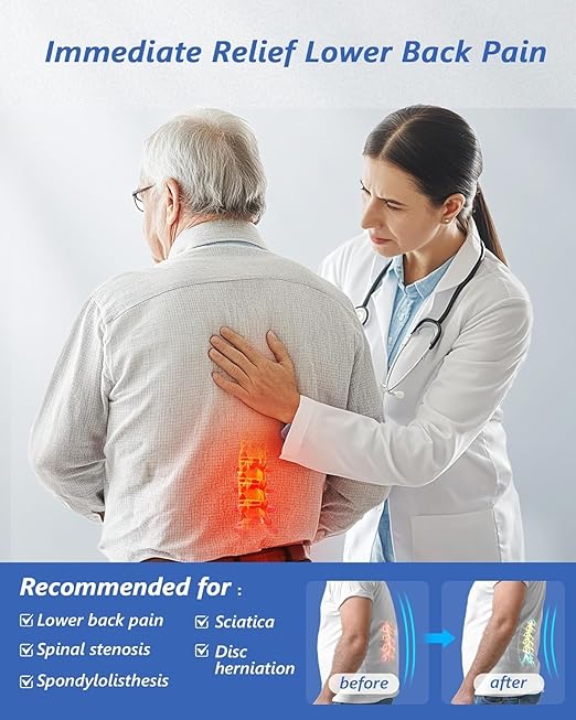 Back Brace for Lower Back Pain Relief with Pulley Support System, Adjustable Lumbar Support Belt with Lumbar Panel, Breathable, Strong Support Design For Herniated Disc, Sciatica, Scoliosis (Large)