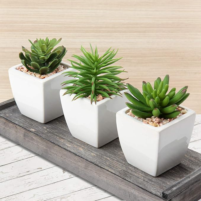 Hollyone Small Faux Succulents in White Ceramic Pot 3Pcs Artificial Succulents Fake Plant Gifts Home Decor Accents Centerpieces Bathroom Decor Mum Gifts Greenery Decoration Succulents Wedding