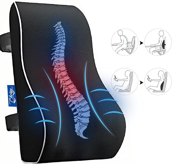 Chrissy Lumbar Support Pillow for Office Chair & Car | Memory Foam Back Cushion for Pain Relief & Posture Support | Breathable Mesh Cover, Adjustable Straps, Removable & Washable Cover