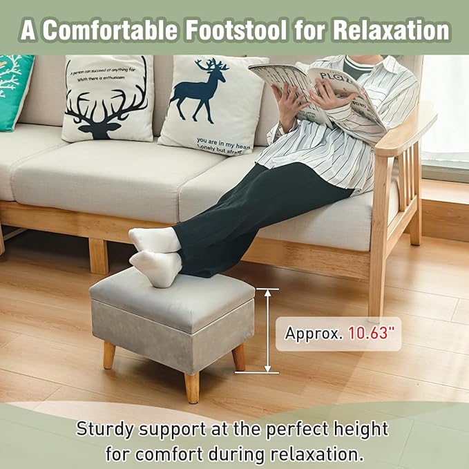 lumizone Small Ottoman Foot Rest Modern Storage Ottoman Foot Stool Padded Seat Pet Step for Dog Under Desk Stool for Living Room Bedroom Office Entryway (Print- Beige)
