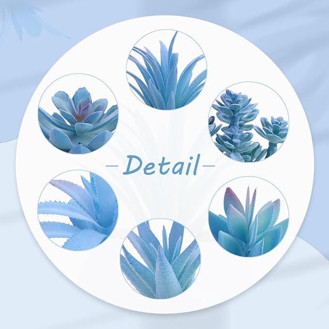 GREENTIME 6 Pcs Blue Mini Artificial Succulents in Plastic Pots Small Fake Plant Succulent Plant Graduation & Father Party Decorations Classmate Gift Faux Indoor Decor Bedroom Desk Bathroom Shelf