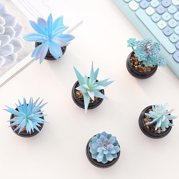GREENTIME 6 Pcs Blue Mini Artificial Succulents in Plastic Pots Small Fake Plant Succulent Plant Graduation & Father Party Decorations Classmate Gift Faux Indoor Decor Bedroom Desk Bathroom Office
