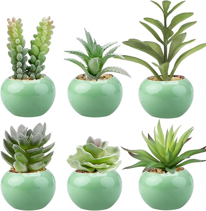 GREENTIME 6 Pcs Small Artificial Succulent Plants Bulk in Ceramic Pots Mini Fake Succulent Plant Faux Indoor Decor Graduation Decorations Bedroom Desk Bathroom Office Living Room Table Shelf