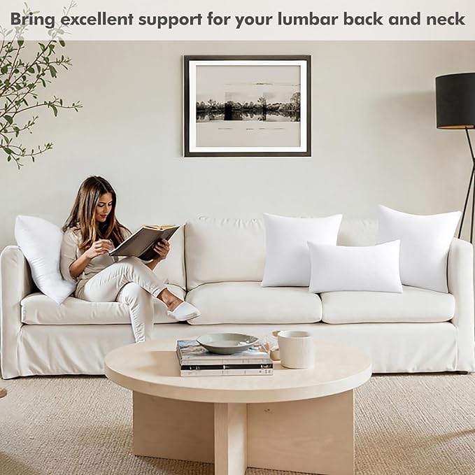 MIULEE 20x20 Inch Throw Pillow Insert Premium Throw Pillow Polyester Microfiber Stuffer Pillow for Sofa Bed Couch