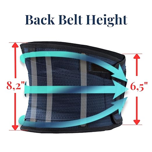 AVESTON Back Support Lower Back Brace for Back Pain Relief: Thin Breathable Rigid 6 ribs Adjustable Lumbar Support Belt for Men/Women Keeps Spine Straight and Safe – XLarge
