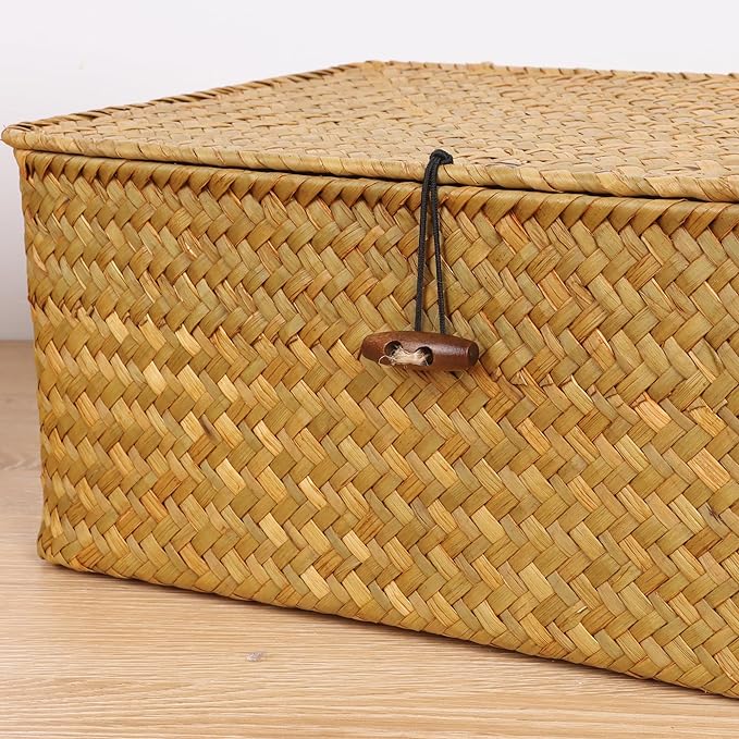 FEIALNDUO Wicker Shelf Baskets with Lid,Seagrass Storage Basket Bins Rectangular Handwoven Basket Boxes for Shelves Desktop Home Organizer (Natural, X-Small)