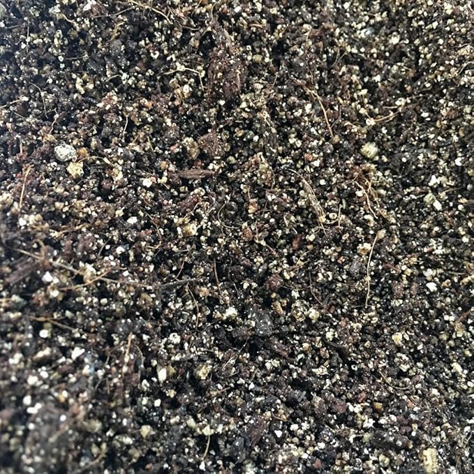 Shroomability Mini All-in-One Mushroom Grow Bags | Mushroom Grow Kit | Rye & Coco Coir Casing Mix (8 Bags)