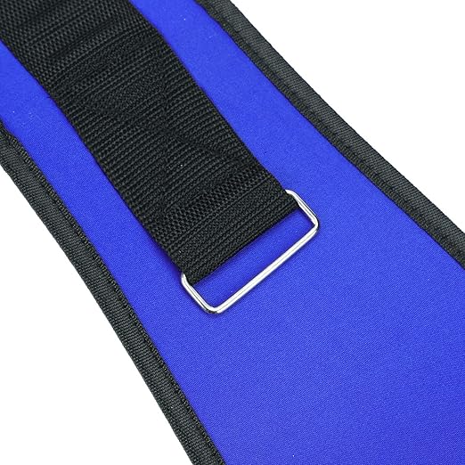 Back Support Lumbar Support Belt Lower Back Brace for Pain Relief Sciatica Herniated Disc Scoliosis Posture Correction Adjustable Mesh Support Straps for Men Women Fitness Waist Protection (Blue, L)