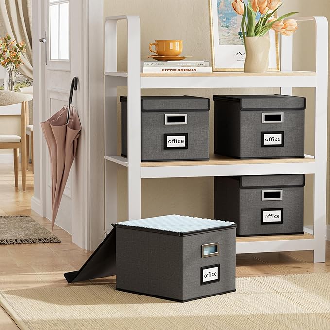 File Organizer Box with Lid, Collapsible File Folder Organizer for Office Document Storage, Filing Box with Plastic Slide for Letter Size Hanging File Folders(1 Pack, Dark Grey)