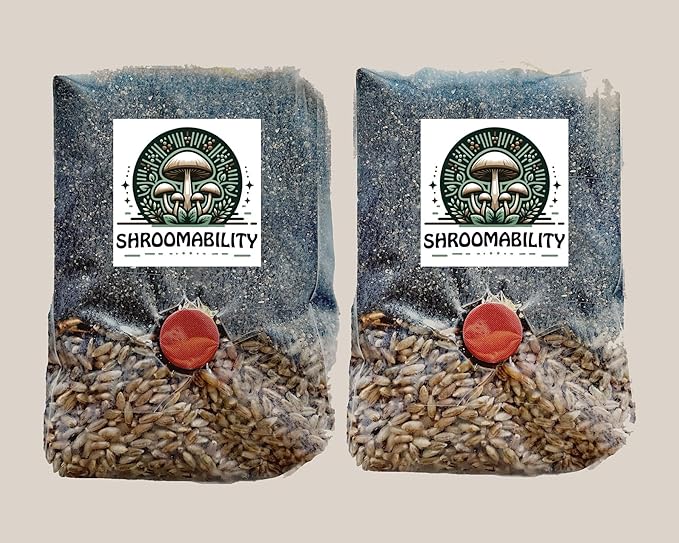 Shroomability Mini All-in-One Mushroom Grow Bags 2-Pack | Mushroom Grow Kit | Rye & Coco Coir Casing Mix | (2 Bags)