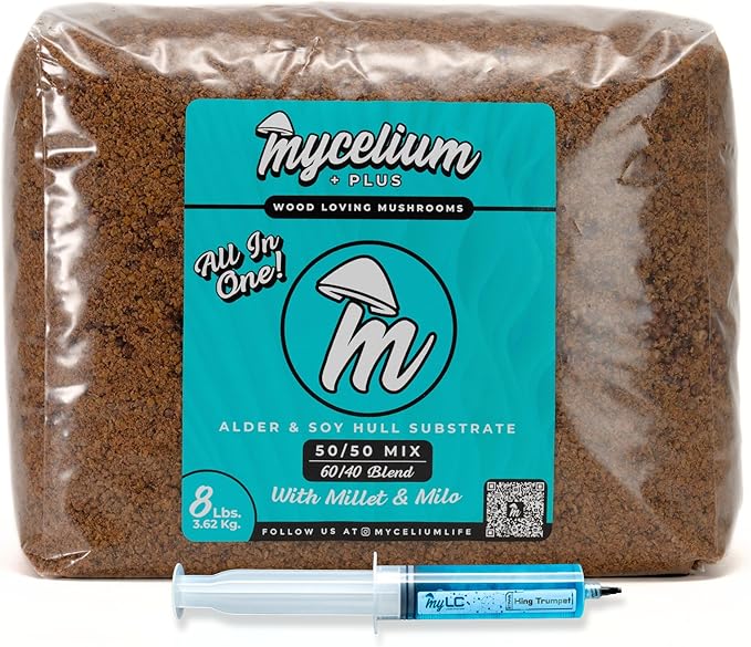 Mycelium Mushroom Growing Kit, King Trumpet Gourmet I Alder & Soy Hull Substrate I High Yield Proprietary Mix I Sterile Grow Bag with 20ml Liquid Culture Syringe for Starter & Pro Home Growers, 8lbs