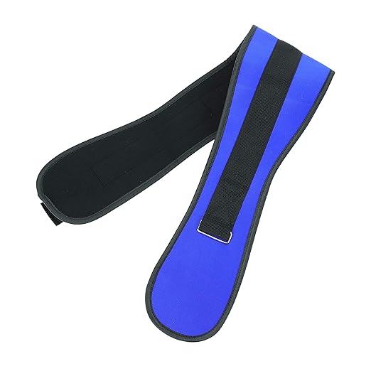 Back Support Lumbar Support Belt Lower Back Brace for Pain Relief Sciatica Herniated Disc Scoliosis Posture Correction Adjustable Mesh Support Straps for Men Women Fitness Waist Protection (Blue, L)