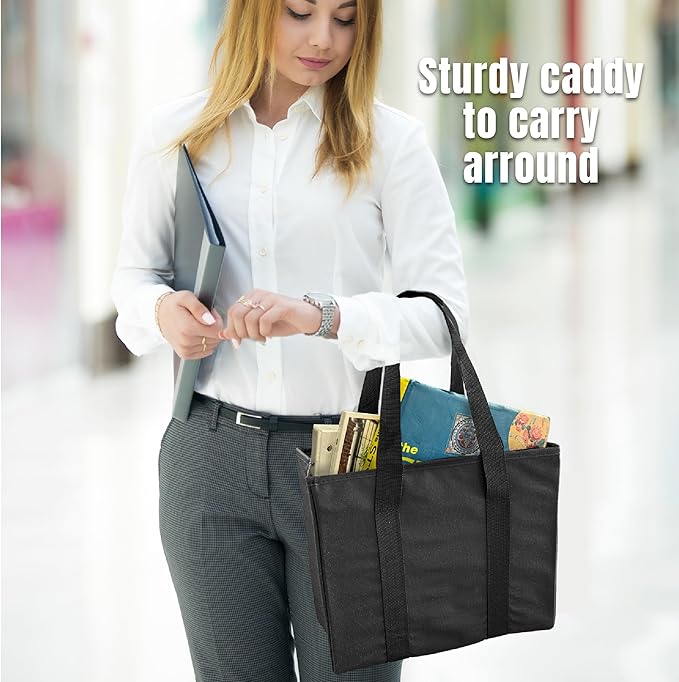 Trenton Gifts Foldable File Bag. Black