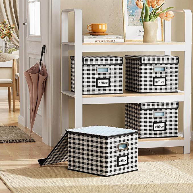 File Organizer Box with Lid, Collapsible File Folder Organizer for Office Document Storage, Filing Box with Plastic Slide for Letter Size Hanging File Folders(1 Pack, Black & White Lattice)