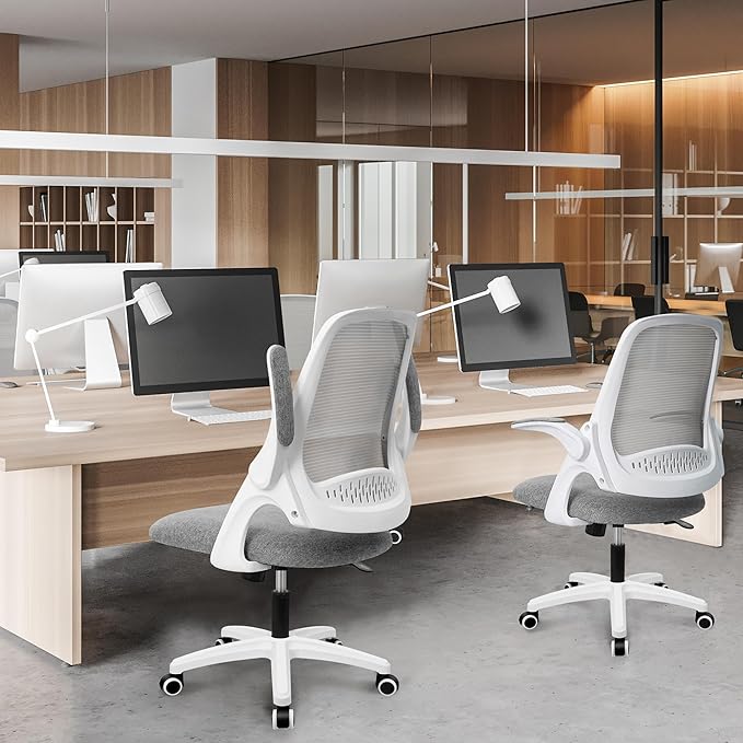 NEO CHAIR Office Desk Gaming Ergonomic Computer Chair with Lumbar Back Support Adjustable Height Swivel Rolling Wheels Flip-up Arms Mesh Chair for Home Vanity (Grey)