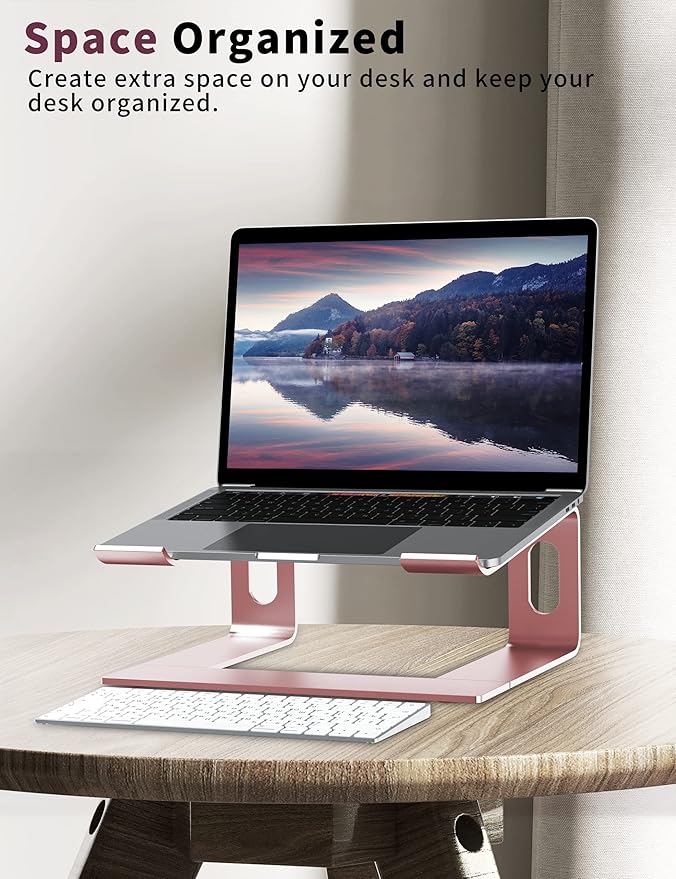 ALASHI Laptop Stand for Desk, Aluminum Computer Riser, Ergonomic Notebook Holder, Detachable Metal Laptops Elevator, PC Cooling Mount Support 10 to 15.6 Inches Notebook, Pink