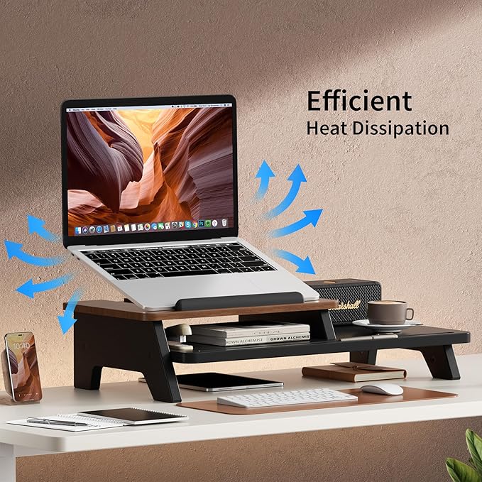 AFOOYO Adjustable Laptop Stand 2-Tier Riser Holder,Ventilated Cooling Ergonomic Computer Desk Organizer Accessories for 10-15.6" Notebook,Desktop Storage Compatible with MacBook,Dell,HP,Lenovo