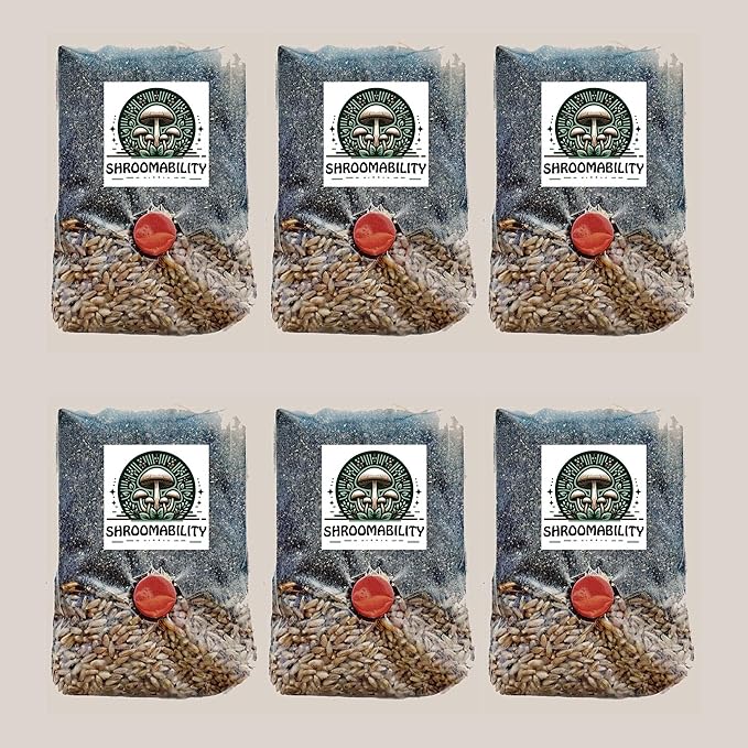 Shroomability Mini All-in-One Mushroom Grow Bags | Mushroom Grow Kit | Rye & Coco Coir Casing Mix (6 Bags)