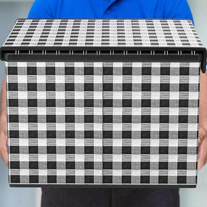 File Organizer Box with Lid, Collapsible File Folder Organizer for Office Document Storage, Filing Box with Plastic Slide for Letter Size Hanging File Folders(1 Pack, Black & White Lattice)