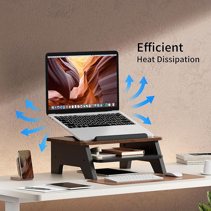 AFOOYO 2-Tier Laptop Stand,Adjustable Riser,Desk Organizer Accessories Ventilated Cooling Ergonomic Computer Holder 10-15.6" Notebook,Desktop Storage Compatible with MacBook,Dell,HP,Lenovo
