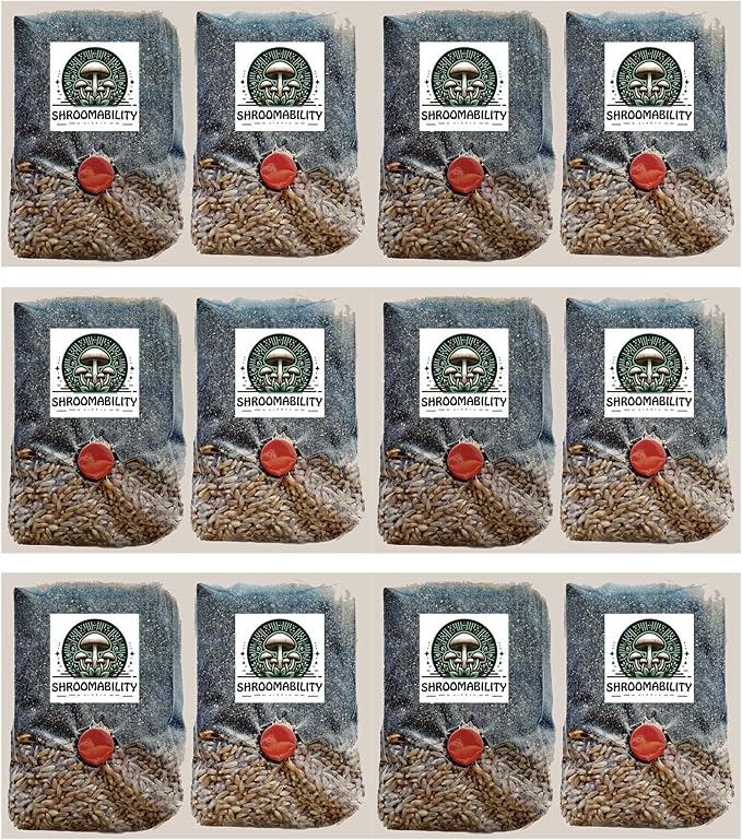 Shroomability Mini All-in-One Mushroom Grow Bags | Mushroom Grow Kit | Rye & Coco Coir Casing Mix (12 Bags)